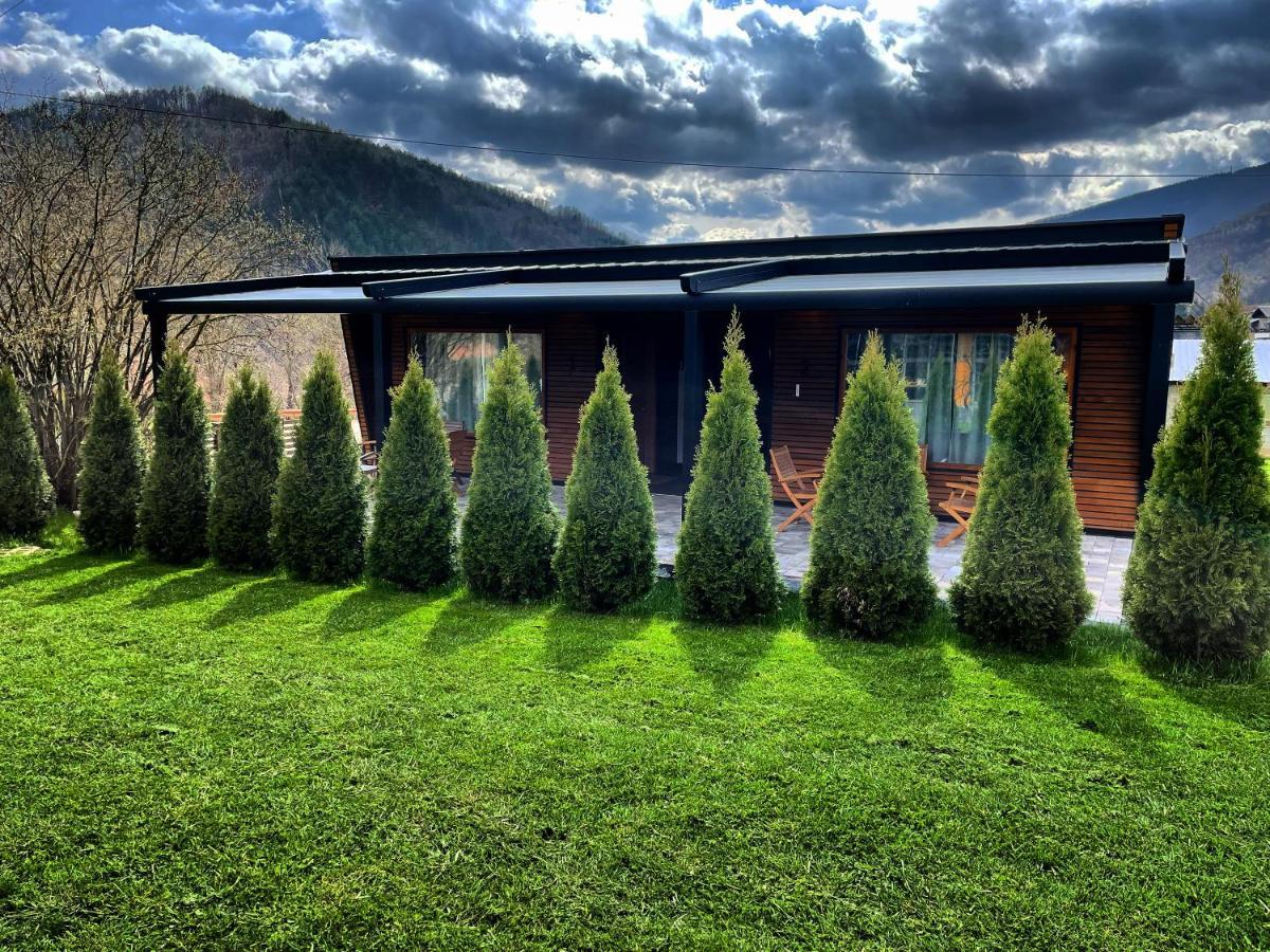Alexandar Studio Apartman Mokra Gora Buitenkant foto
