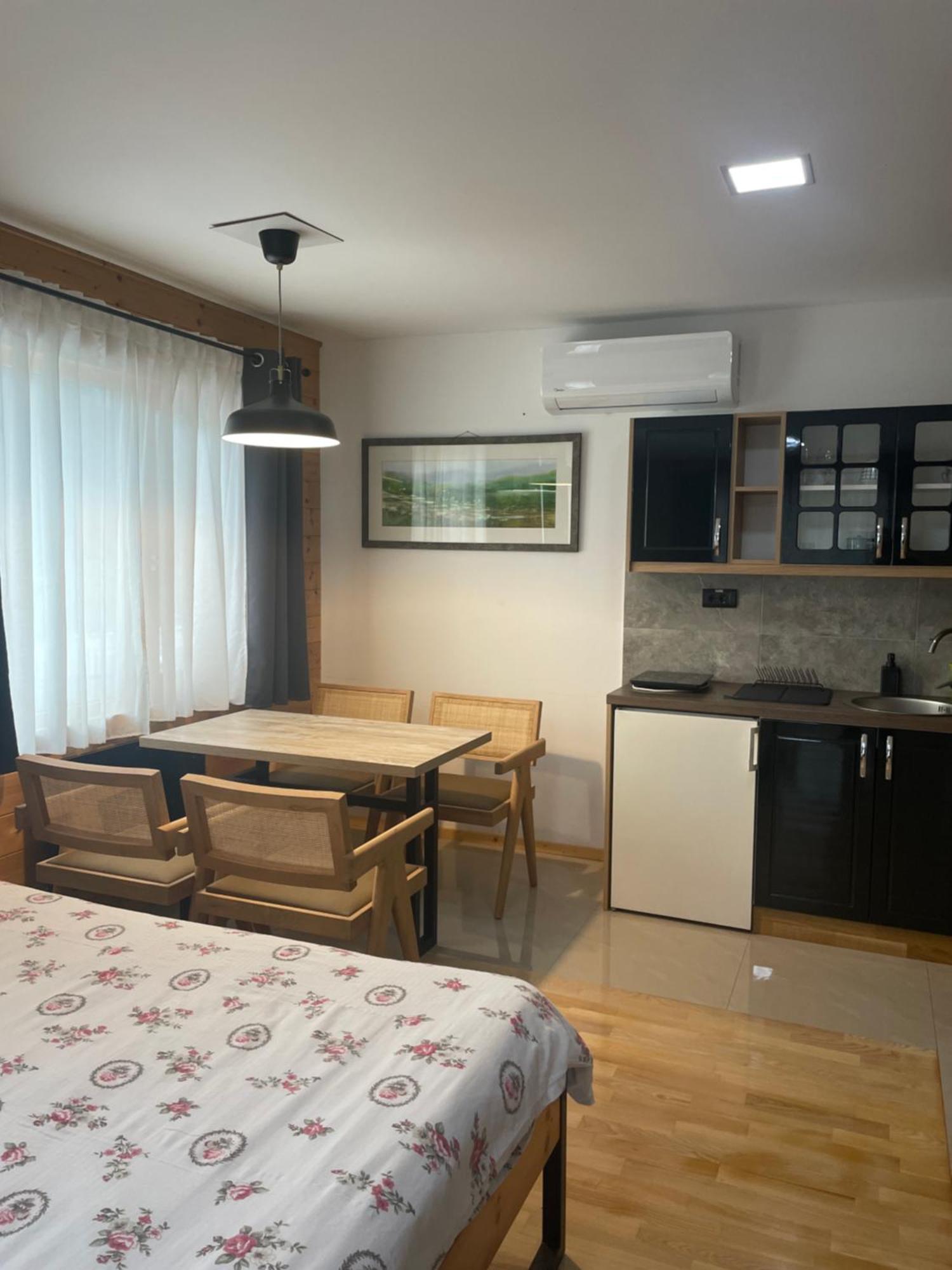 Alexandar Studio Apartman Mokra Gora Buitenkant foto