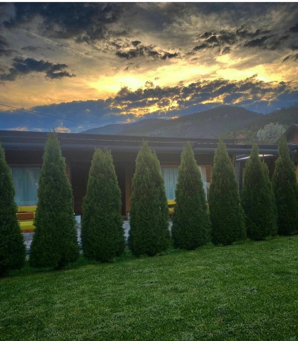 Alexandar Studio Apartman Mokra Gora Buitenkant foto