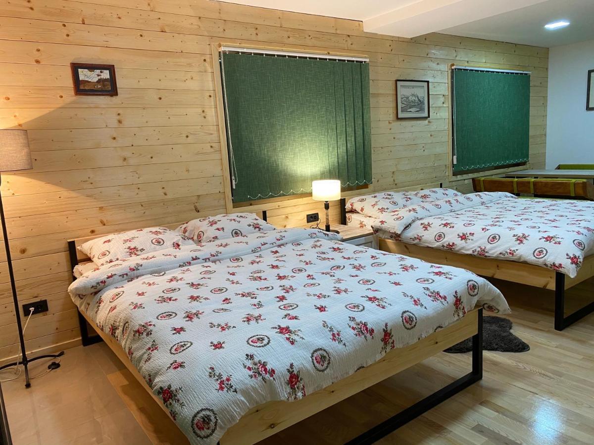 Alexandar Studio Apartman Mokra Gora Buitenkant foto
